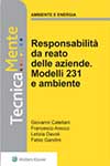 Responsabilità da reato delle aziende e ambiente - II Edizione